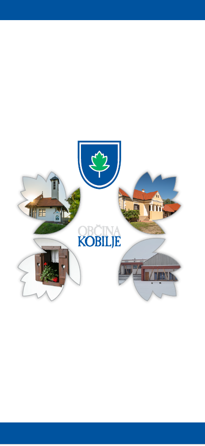 vabilo